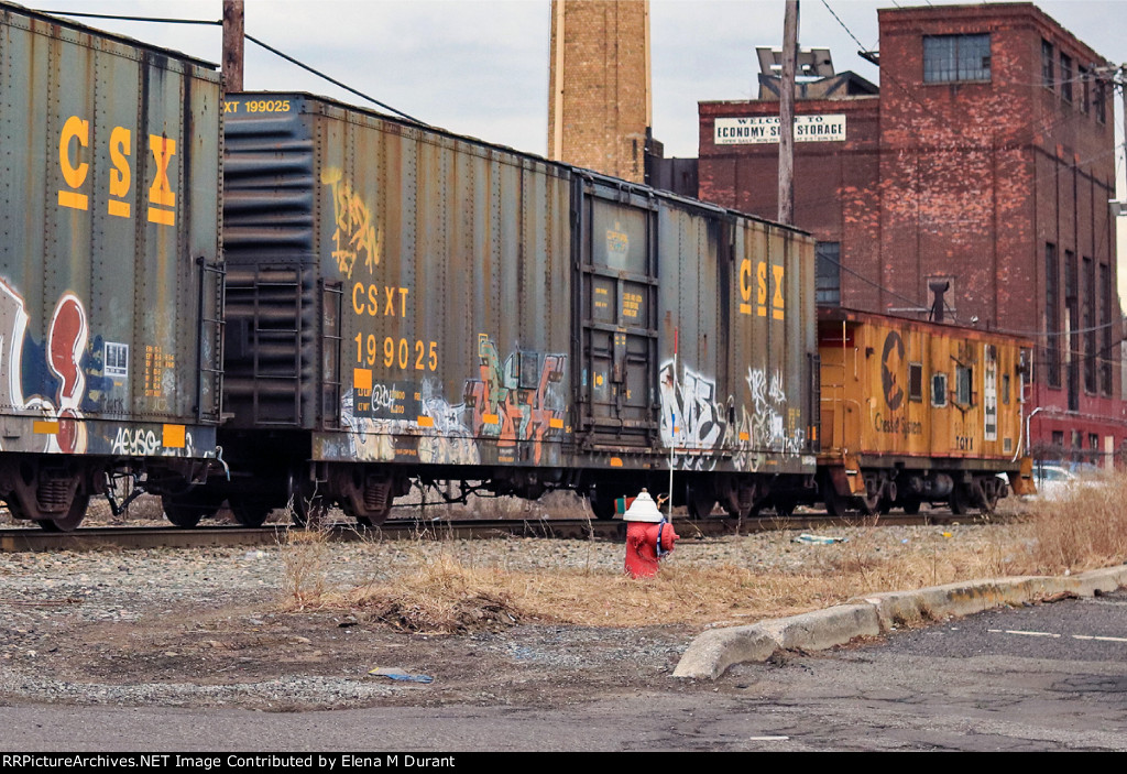 CSX boxcar and caboose